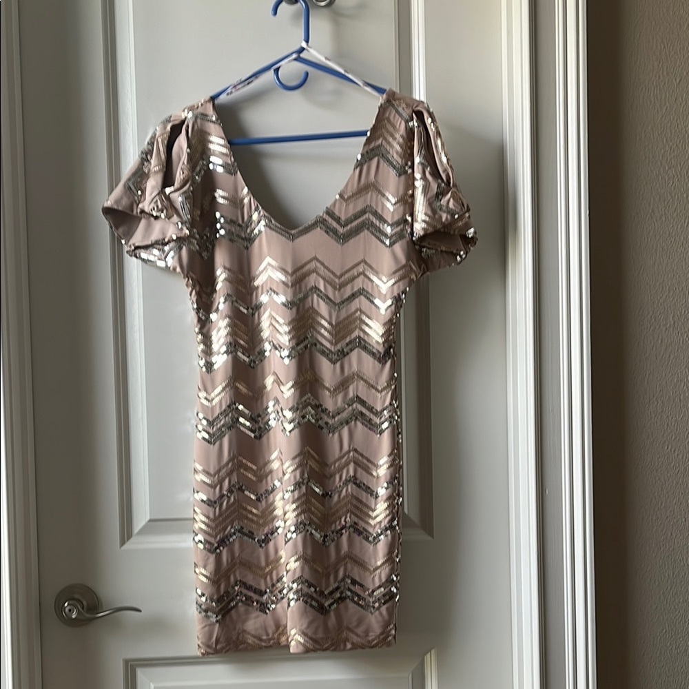 Elegant Sequin Dress